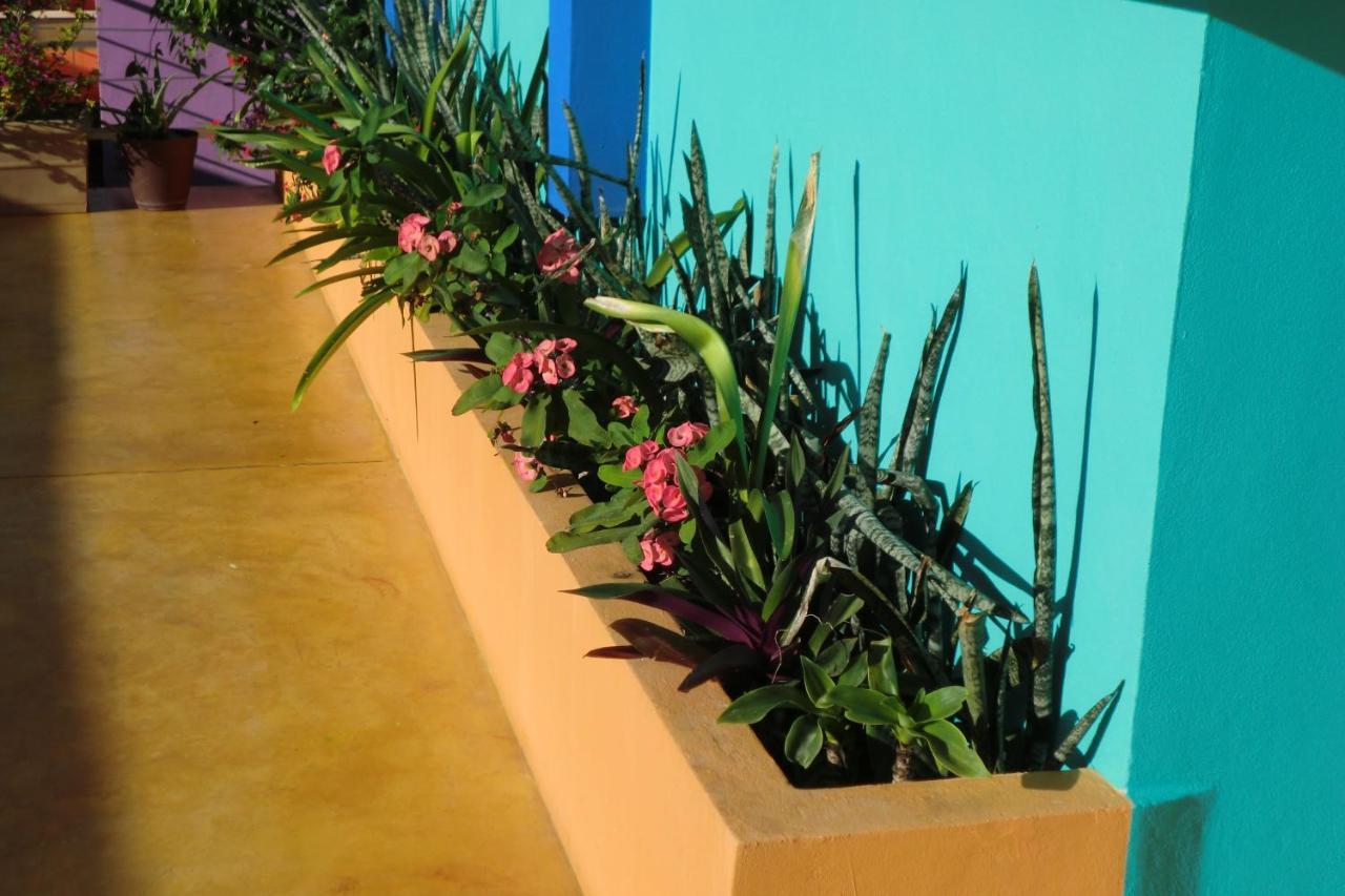 Hotel Arcoiris Tulum Kültér fotó